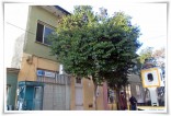park-bahce (1) park-bahce (1)