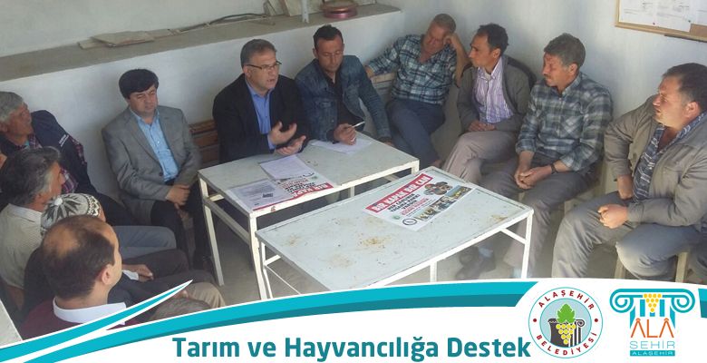 tarim
