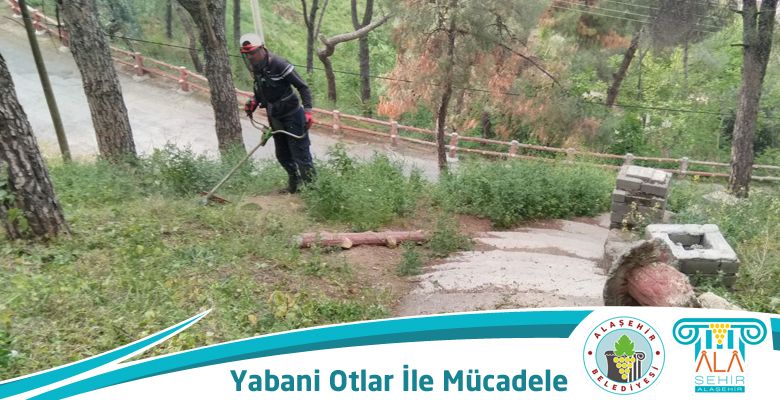 yabani