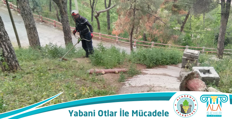YABANİ OTLA MÜCADELE