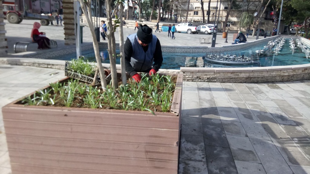Ağaç Budama ve Bakım İşleri Tüm Hızıyla Devam Ediyor