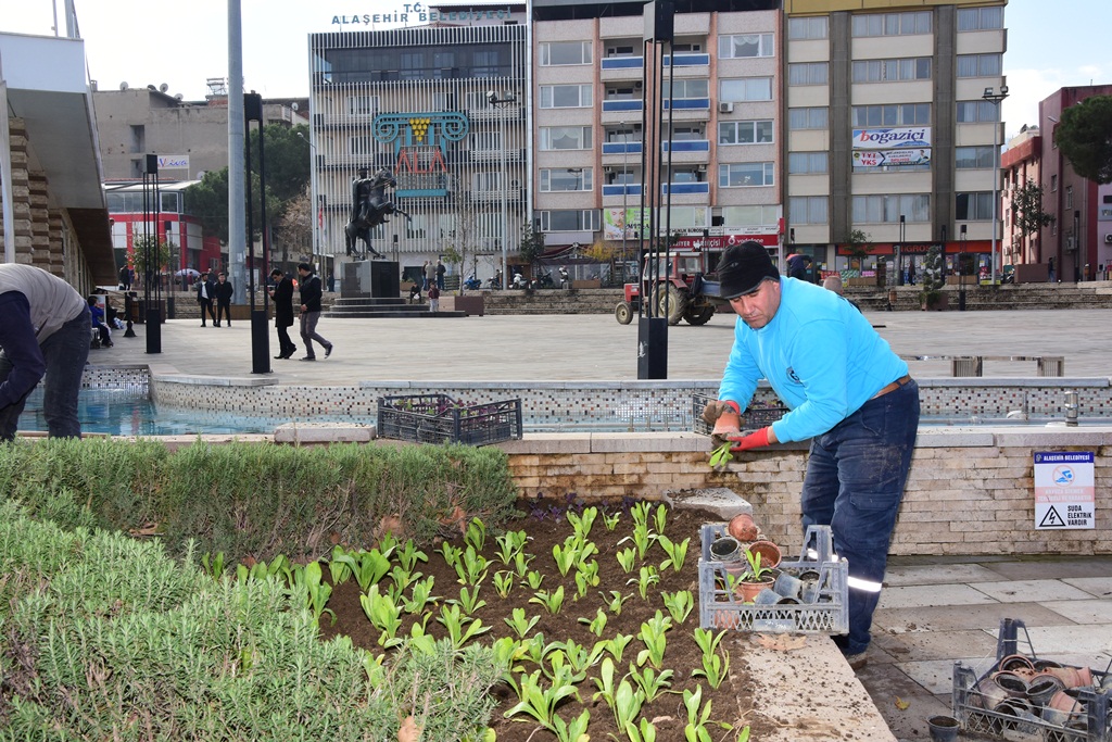 Alaşehir Belediyesi Mevsimlik Çiçek Ekimine Devam Ediyor