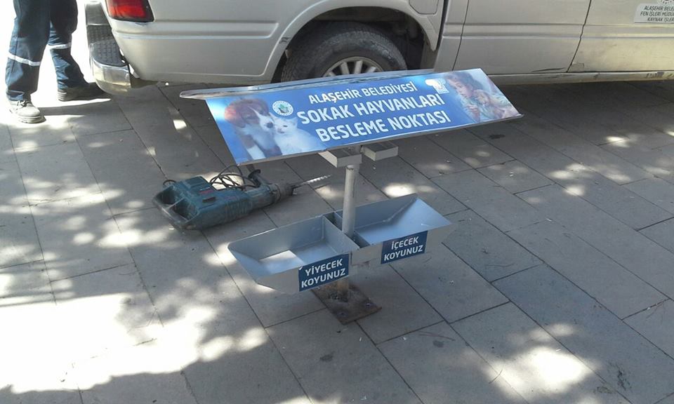 ALAŞEHİR BELEDİYESİ SOKAK HAYVANLARINI UNUTMADI