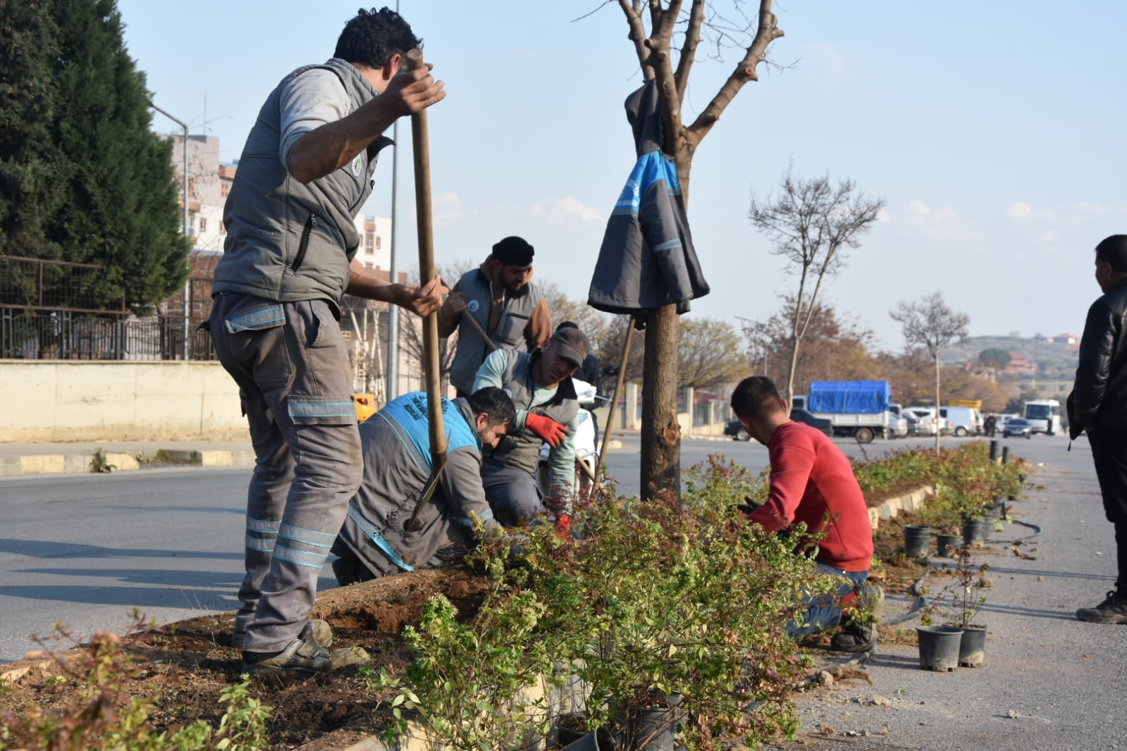 Park ve Bahçeler Müdürlüğüne bağlı ekiplerimiz, yeşillendirme ve peyzaj çalışmalarını hızlandırdı. Şehrimizin farklı noktalarında mevsimlik çiçeklerinin dikimi ve yeşillendirme çalışmalarını tüm hızıyla sürdürüyoruz