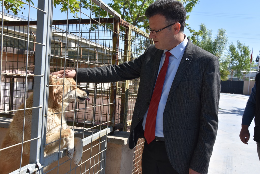 Sokak Hayvanları Geçici Bakım Evi