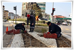 parkbahce (2)