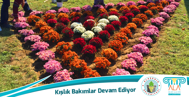 Park Bahçeler Ekibi Kışlık Bakımlarına Devam Ediyor