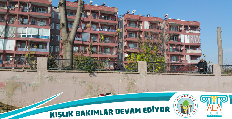 Kışlık Bakımlara Devam Ediliyor