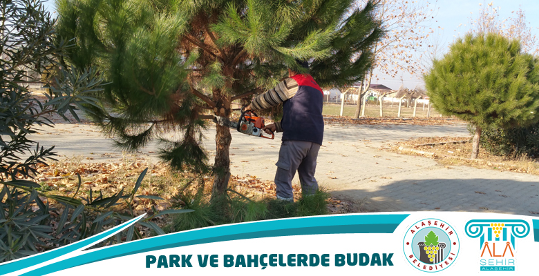 Park ve Bahçelerde Budak