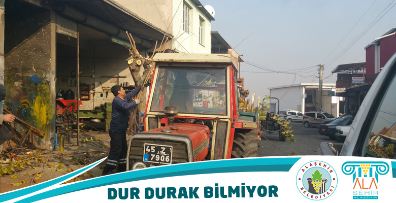 Dur Durak Bilmiyor