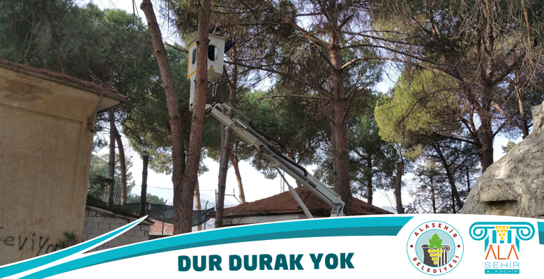 Park ve Bahçeler Müdürlüğünden Dur Durak Yok