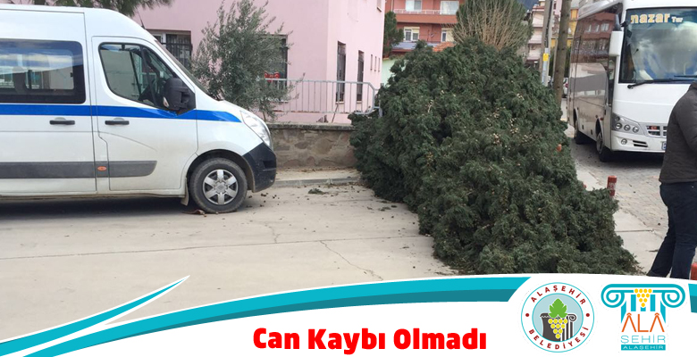 Can Kaybı Olmadı