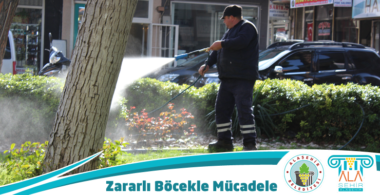 ZARARLI BÖCEK İLAÇLAMASI PARK VE BAHÇELERDEN