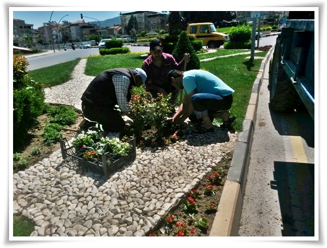 ay_yildiz_cicek (4)