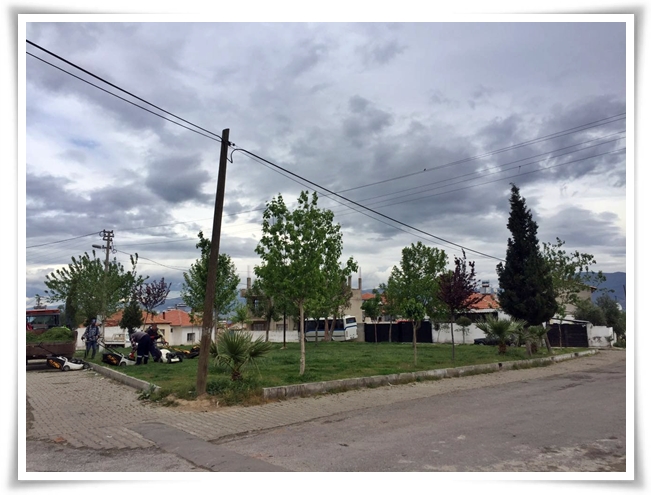 bahar_geldi (2)