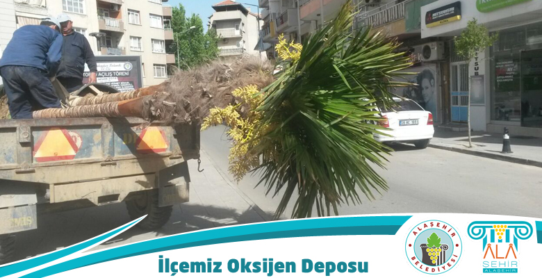 İLÇE OKSİJEN DEPOSU
