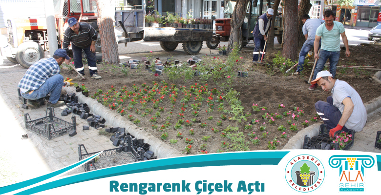 Rengarenk Çiçek Açtı