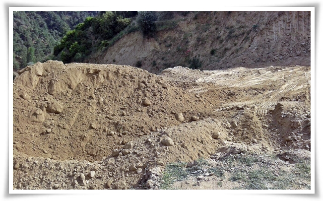 cesneliye_yol (2)