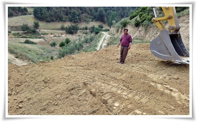cesneliye_yol (3)