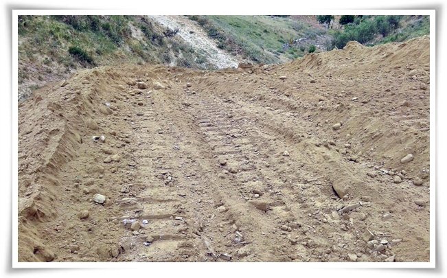 cesneliye_yol (4)