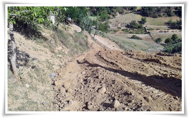 cesneliye_yol (6)