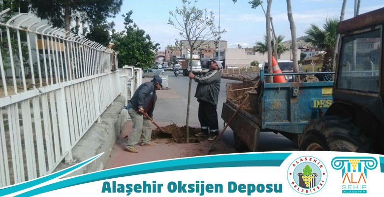 OKSİJEN DEPOSU KURDU