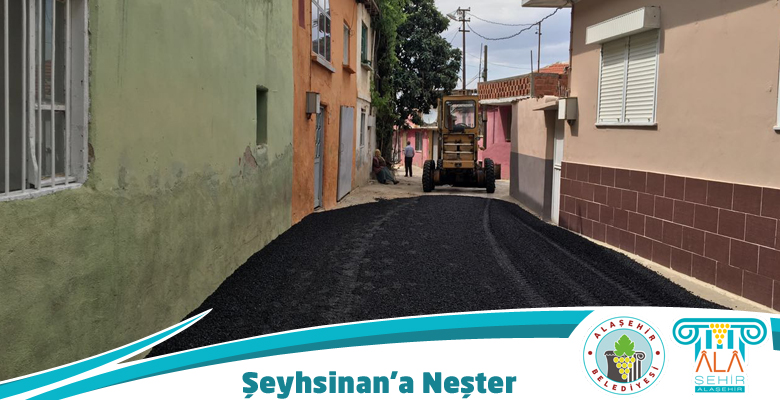 ŞEYHSİNAN’ A NEŞTER VURDUK