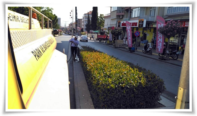 yesil_alasehir (1)