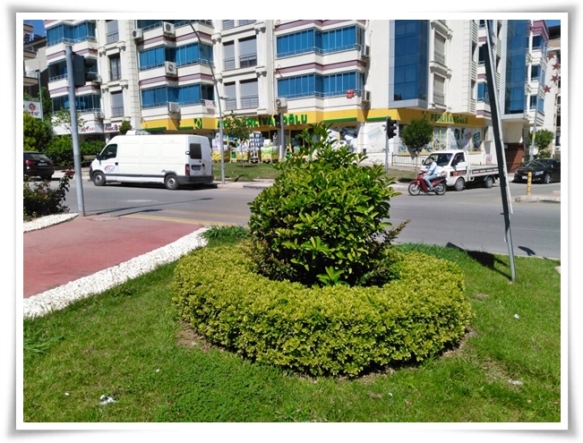 yesil_alasehir (5)