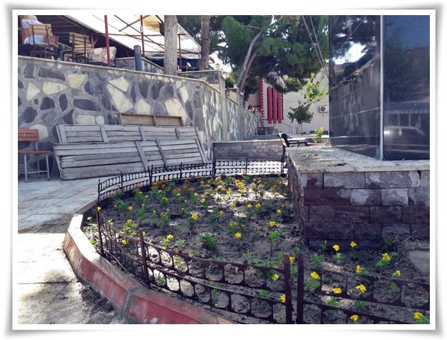 cicekli_pendore (3)