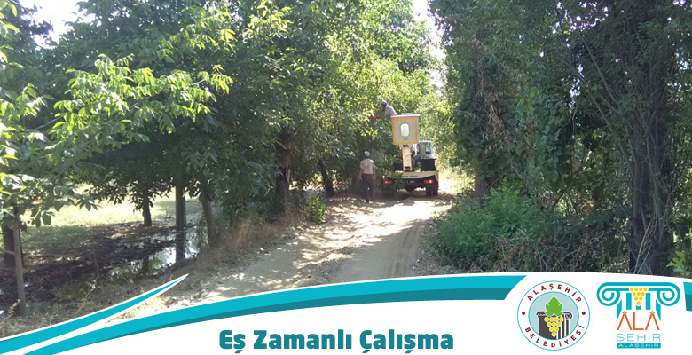PARK VE BAHÇELER MÜDÜRLÜĞÜNDEN EŞ ZAMANLI ÇALIŞMA