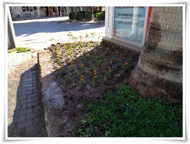 tam_destek (1)