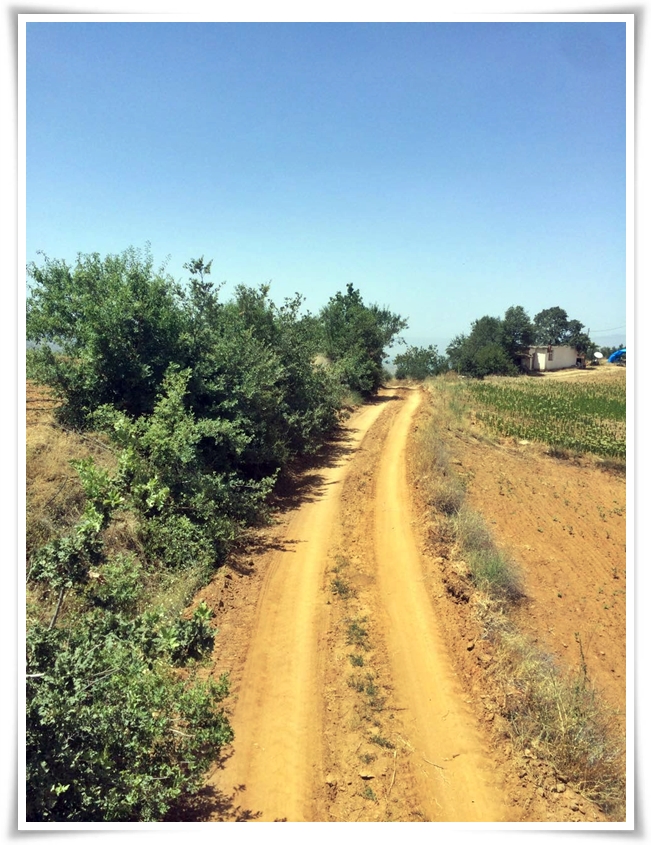 yol_duzenleme (1)