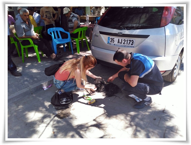ambulans_hizmeti (4)
