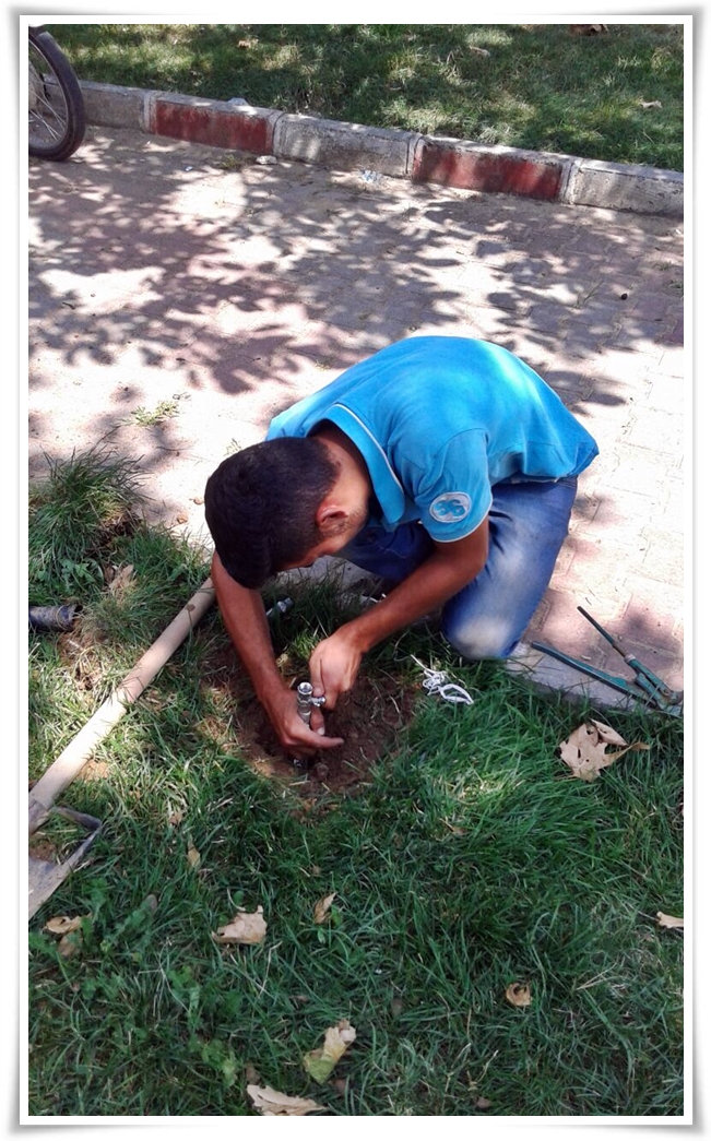 bakim_ve_bitkilendirme (1)