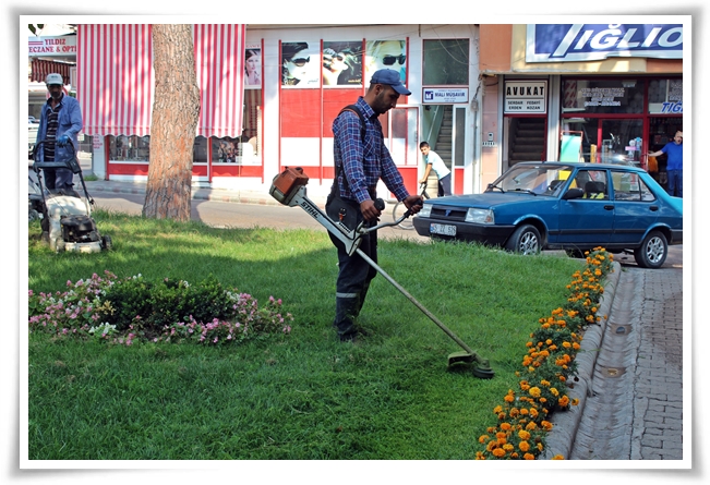 bakim_ve_bitkilendirme (4)
