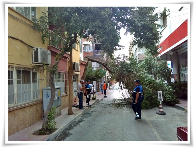 bakim_ve_bitkilendirme (9)