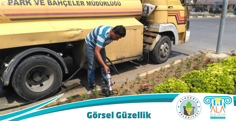 KAVŞAKLARDA ŞEKİLLİ BİTKİLER GÖRSEL GÜZELLİĞİ SERGİLENDİ