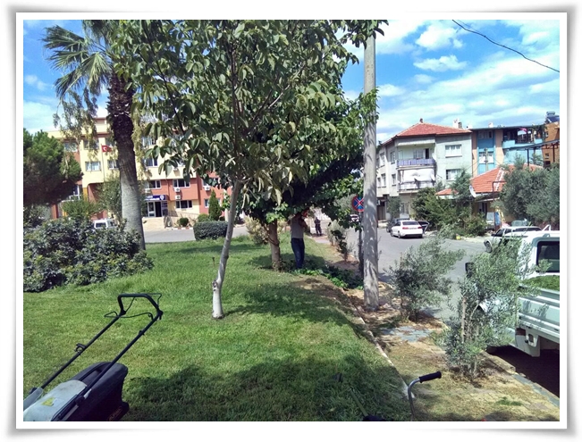 gorsel_guzellik (1)