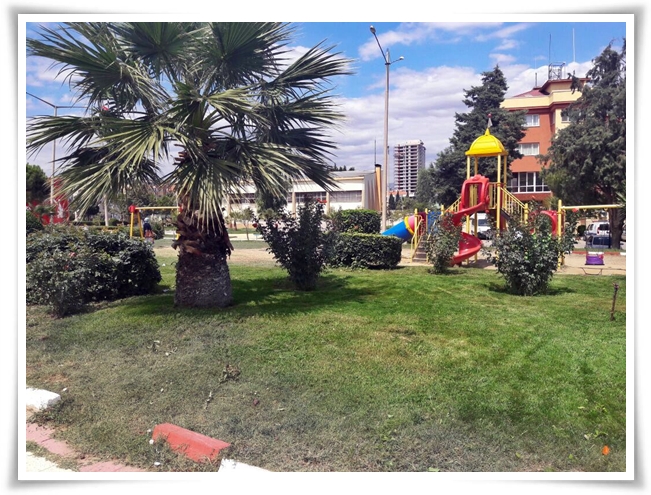 gorsel_guzellik (2)
