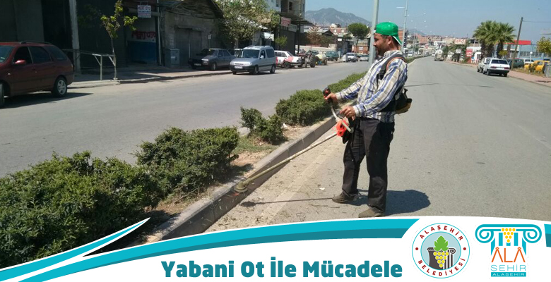 YABANİ OT İLE MÜCADELE