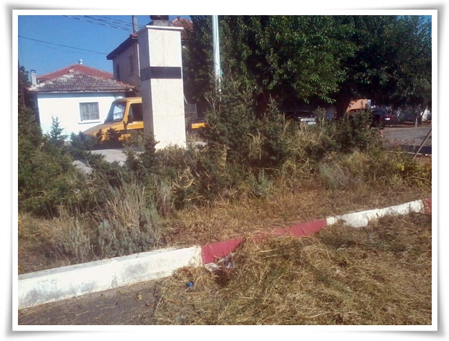 yabani_ot_ile_mucadele (10)