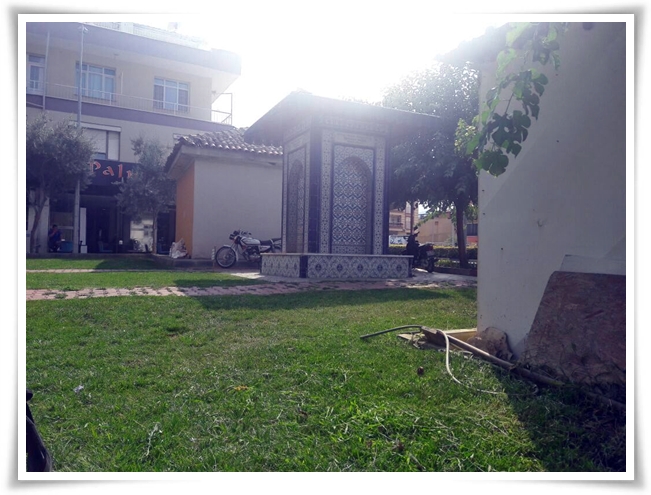 yabani_ot_ile_mucadele (6)