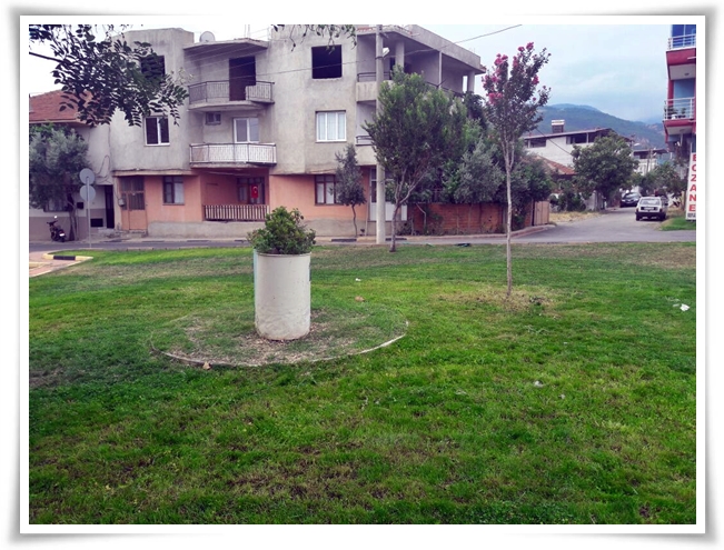 yabani_ot_ile_mucadele (7)