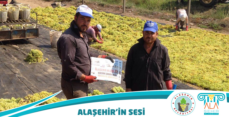 ALAŞEHİR’İN SESİ GAZETESİ İLE BAĞ ARASINDA