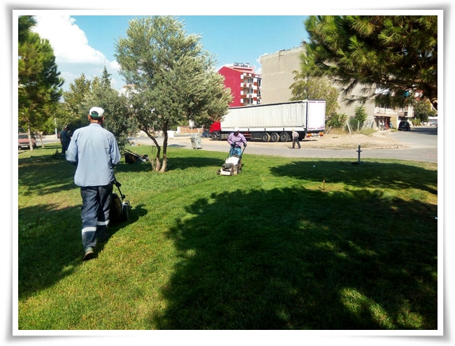 alasehir_guzellesiyor (2)