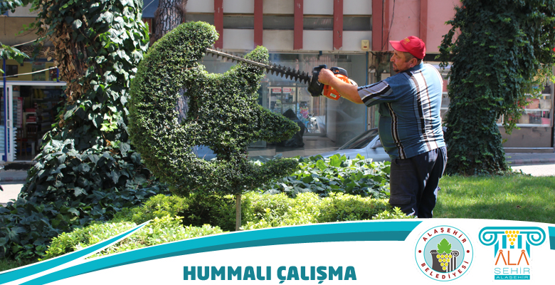 PARK BAHÇELERDEN HUMMALI ÇALIŞMA