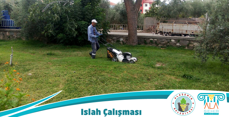 YABANİ OT ISLAH ÇALIŞMALARINA EŞ ZAMANLI MÜDAHALE