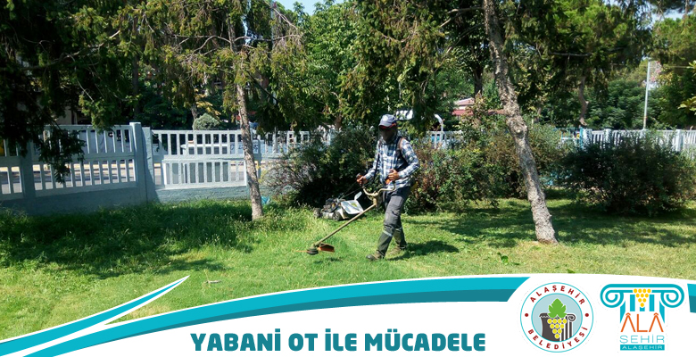 YABANİ OTLA MÜCADELE KARARLILIKLA SÜRDÜRÜLÜYOR
