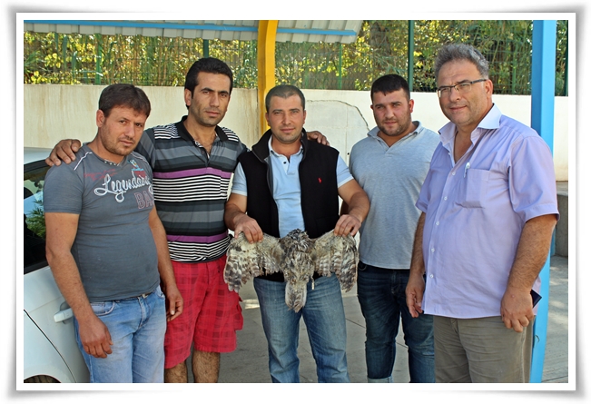 yarali_baykus-4